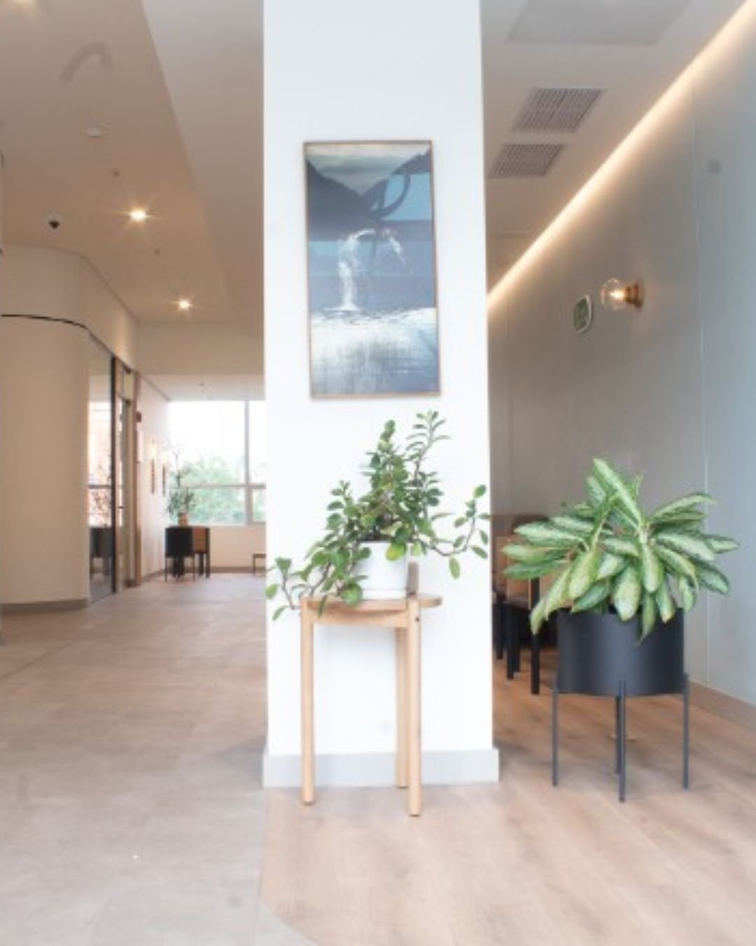 Interior spaces at Torre Médica Oviedo, Be Dharma clinic in Medellín