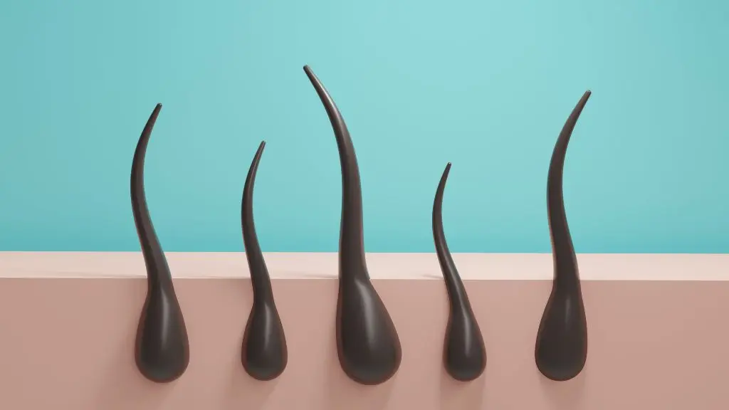 FOLICULO PILOSO - BE DHARMA (1)